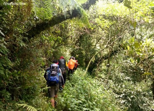 7-Day Mount Kilimanjaro Climb via Rongai Route | Serengeti Soul Adventures