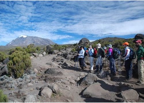 9-Day Mount Kilimanjaro Climb via Northern Circuit Route | Serengeti Soul Adventures
