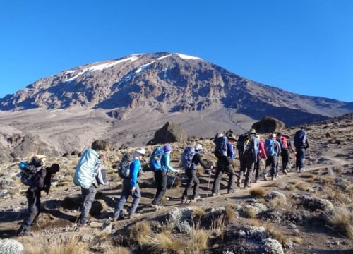8-Day Mount Kilimanjaro Climb via Lemosho Route | Serengeti Soul Adventures