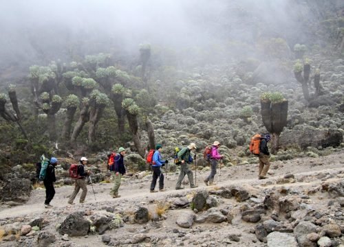 7 Days Mount Kilimanjaro Lemosho route