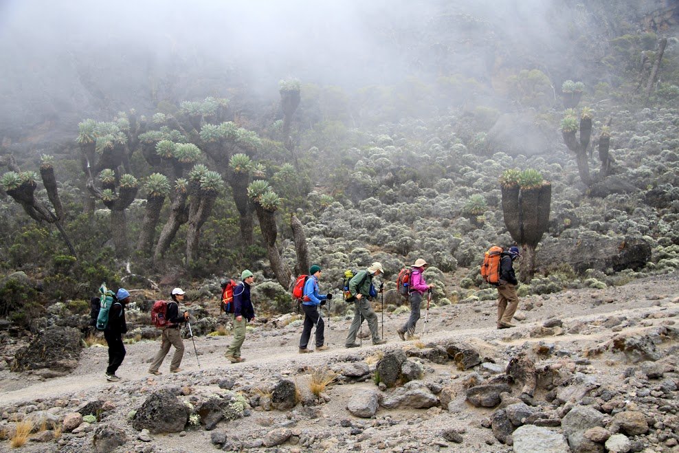 7 Days Mount Kilimanjaro Lemosho route