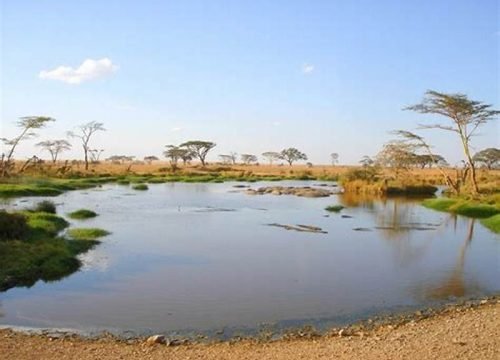 Lake Manyara National Park with Serengeti Soul Adventure