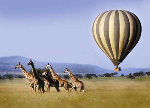 Discover the Breathtaking Beauty of Tanzania from Above with Balloon Flights