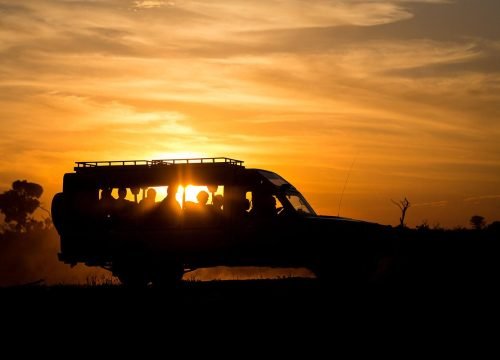 6-Day Tanzania Night Safari: Tarangire, Lake Manyara, Serengeti & Ngorongoro