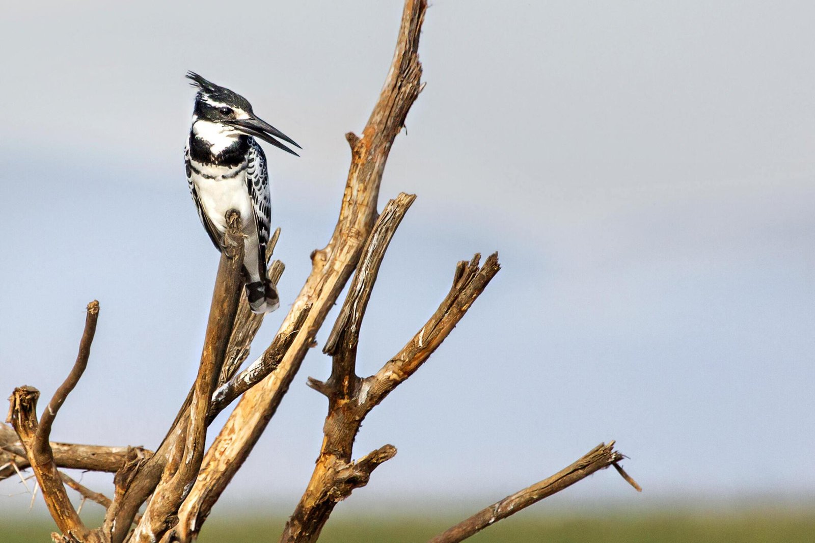Arusha National Park