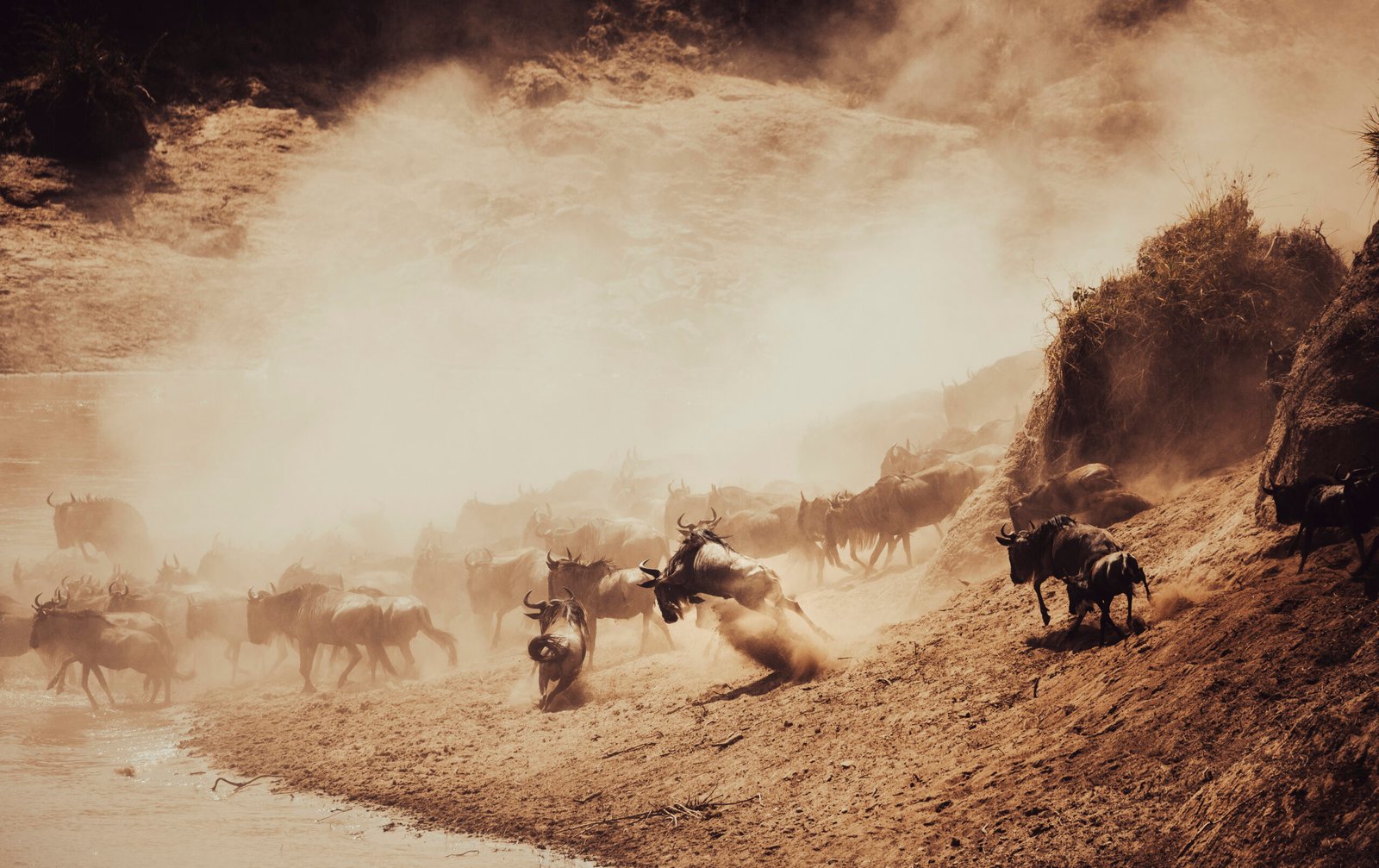 Great Migration safari in Serengeti National Park