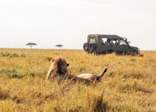 5-Day Tanzania Safari: Serengeti & Ngorongoro Crater | Serengeti Soul Adventures