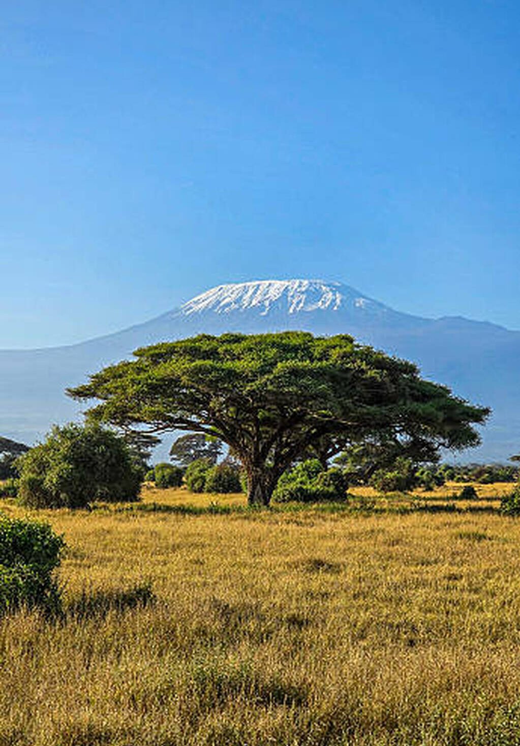 Kilimanjaro National Park 