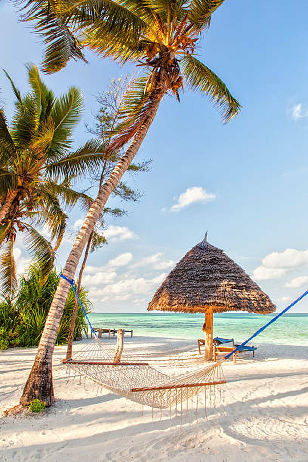  Zanzibar Excursions 